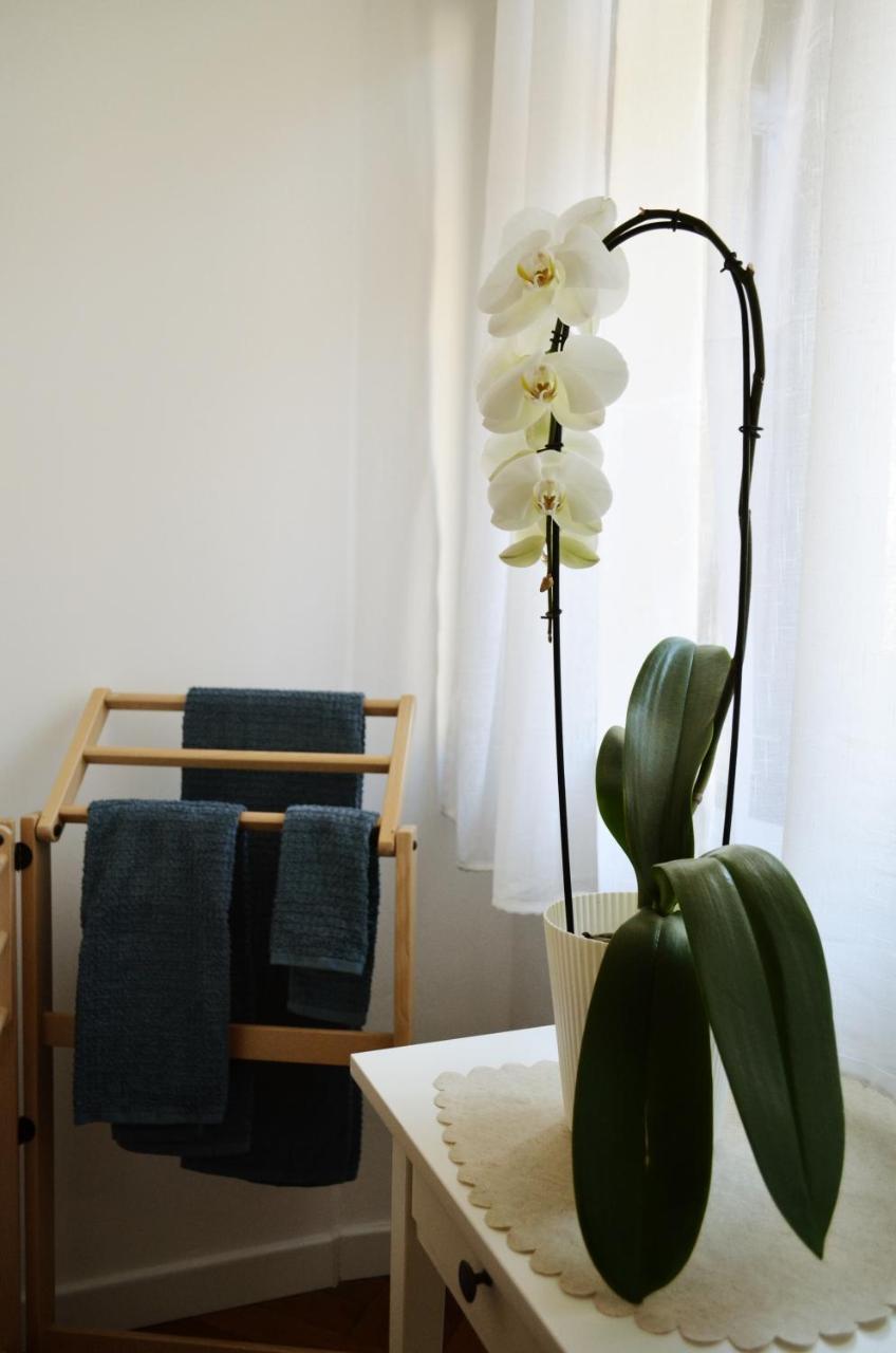 Punto8 Bed & Breakfast Trieste Dış mekan fotoğraf